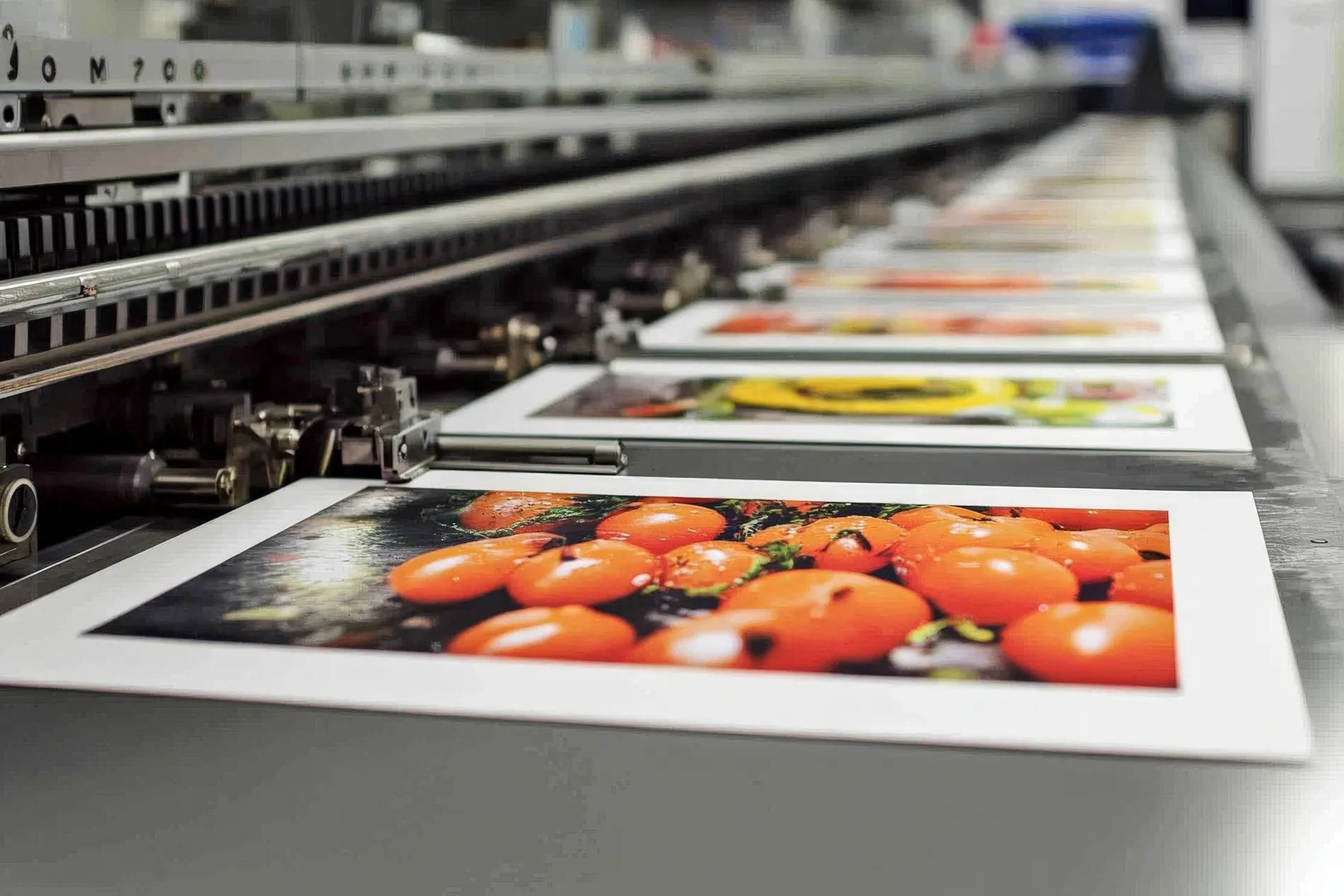 H-Town Printing & Binding Services